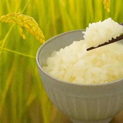 ふるさと納税 勝央町 岡山県勝央町産　お米　20kg