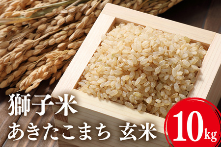 【令和7年産】獅子米 あきたこまち 玄米10kg お米 米 玄米 おこめ ブランド米 30キロ 国産 コメ こめ ご飯 銘柄米 茨城県産 茨城 産直 産地直送 農家直送 ごはん 家庭用 贈答用 お取り寄せ 茨城県 石岡市 B02-059