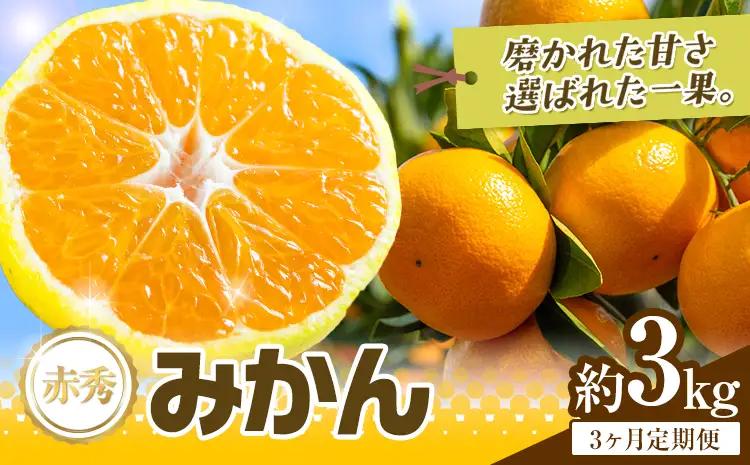 【3か月定期便】 先行予約 赤秀 みかん 旬 柑橘 蜜柑 鶴田農園 約3㎏×3回 《11月上旬-1月下旬頃出荷》極早生 早生 中生 晩生 フルーツ 果物 秋 旬 熊本県 荒尾市産 贈答 ギフト オレンジ 人気 おすすめ