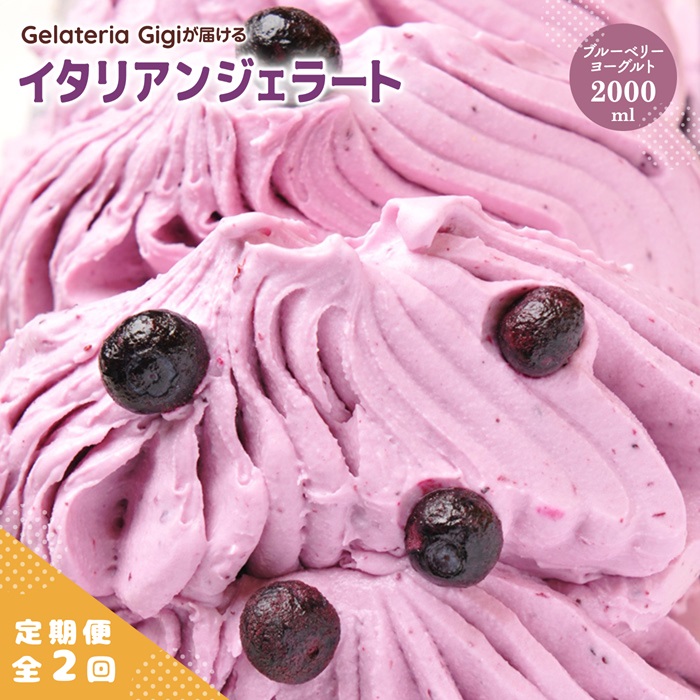 【定期便：全2回】ジェラテリアGigiのイタリアンジェラート『ブルーベリーヨーグルト』2000ml【43027AB0201】