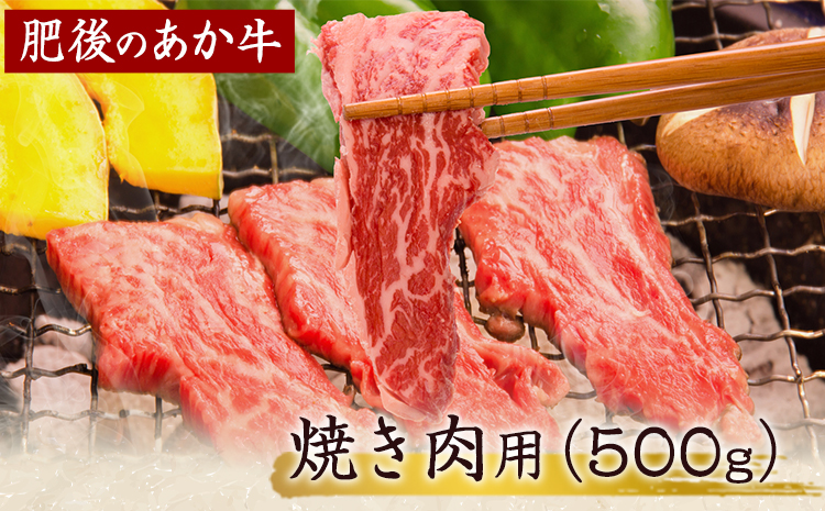 肥後のあか牛 焼き肉用 500g 《90日以内に出荷予定(土日祝除く)》 長洲501 熊本 特産 あか牛