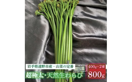 生わらび 超極太 10ミリ以上 800g 400g×2束 天然 岩手県 遠野市 産 ワラビ 山菜 田村りんご店 期間限定 数量限定 【 先行予約 2026年5月上旬発送予定】