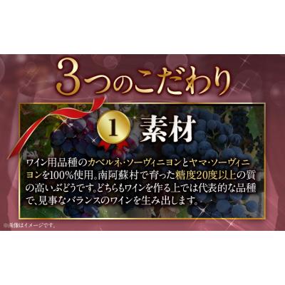 ふるさと納税 南阿蘇村 赤 ワイン RED cow 1本 750ml《30日以内に出荷予定(土日祝除く)》 |  | 01