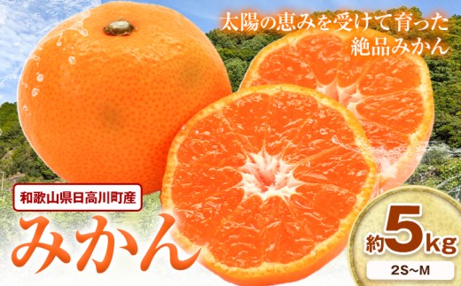 日高川町産みかん 約5kg 2S-M サイズおまかせ マル二《2026年10月中旬-11月末頃出荷》 和歌山県 日高川町 旬 新鮮 果物 柑橘 フルーツ 国産 送料無料 ミカン みかん