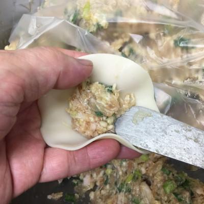 ふるさと納税 藤沢市 藤沢ブランド『みやじ豚』使用の肉汁飛び出す『みやじ豚のしそぎょうざ』(しそ餃子、ニンニク不使用) |  | 02