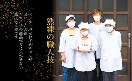 香梅漬　中粒1㎏（ポリ容器入り）