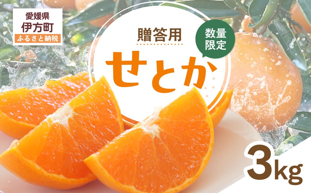 【先行受付】【数量限定】【贈答用】せとか（生果）3kg（2027年2月頃より順次発送） IKTQ009