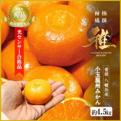 極撰柑橘【雅】光センサー合格品　甘さ際立つ「小玉温州みかん」約4.5キロ【C39−64】【配送不可地域：離島】【1616826】