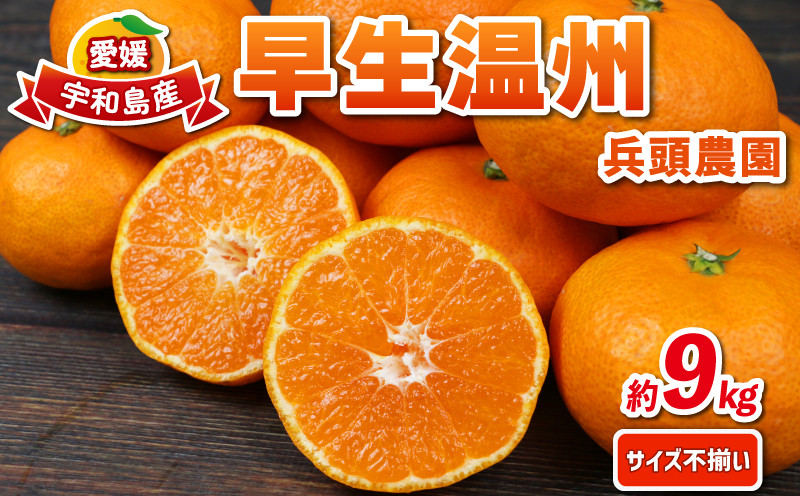 
                  早生みかん 早生温州 9kg サイズ不揃い 兵頭農園 先行予約 みかん mikan 愛媛みかん 愛媛蜜柑 早生 温州 温州みかん不揃い 果物 くだもの フルーツ 柑橘 蜜柑 産地直送 農家直送 数量限定 国産 愛媛県産 愛媛 宇和島 B012-055001
                