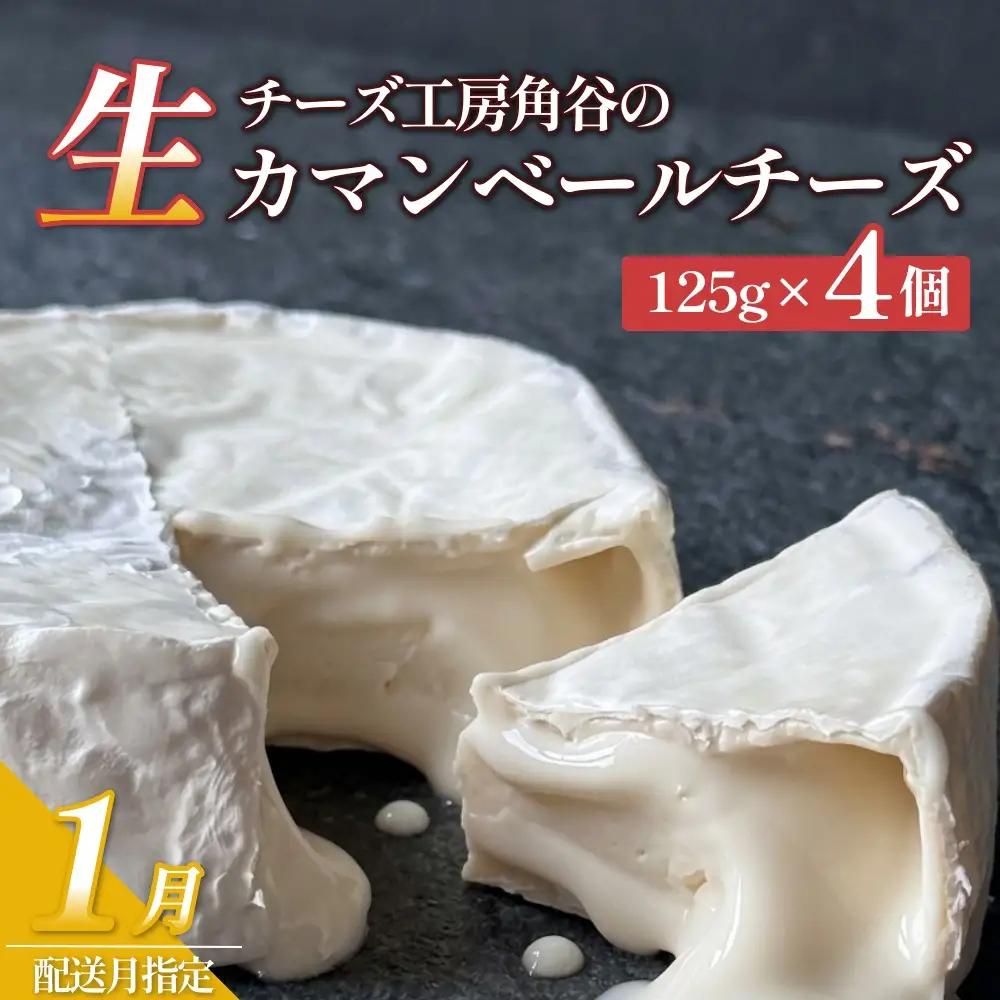 【ふるさと納税】【1月配送】超熟「生」カマンベールチーズ 4個 チーズ工房角谷 KAKUYA カマンベール チーズ ちーず 地元産生乳使用 生乳 手造り クリーミー おつまみ デザート 北海道 安平町 安平