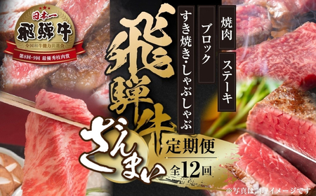 《定期便》全12回 飛騨牛 ざんまい 飛騨高山ミート 飛騨牛 [MZ106]