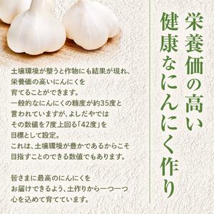 青森県産にんにく すりおろし 200g チューブ にんにく