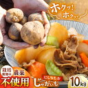 【ふるさと納税】【限定100セット】 栽培期間中農薬不使用！野田さん家のじゃがいも（ニシユタカ) 10kg じゃがいも ジャガイモ 東彼杵町/野田物産[BBS001]