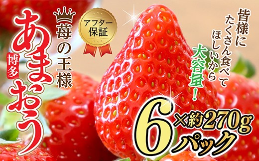 
                  【福岡県産 あまおう】テレビ 「 ヒルナンデス 」 で紹介されました！ 訳あり グランデ 約 270g 前後 × 6パック ふるさと納税 あまおう いちご イチゴ 苺 博多 赤村 あまおう  果物 くだもの フルーツ ジャム にも ケーキ にも 先行予約 数量限定 ふるさと ランキング 人気 おすすめ 福岡 TV紹介 送料無料 3W13
                