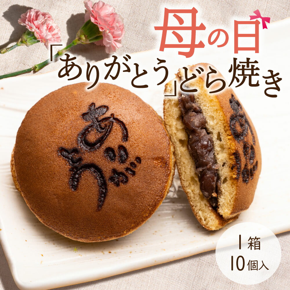 【ふるさと納税】 どら焼き 10個入 化粧箱入り 菓子 大粒小豆 三省堂 皇室献上菓子舗 期間限定 母の日 限定 和菓子 お菓子 スイーツ 和スイーツ 感謝 ありがとう ギフト 贈り物 プレゼント 山梨県 甲州市 (VYD) 【B-932】