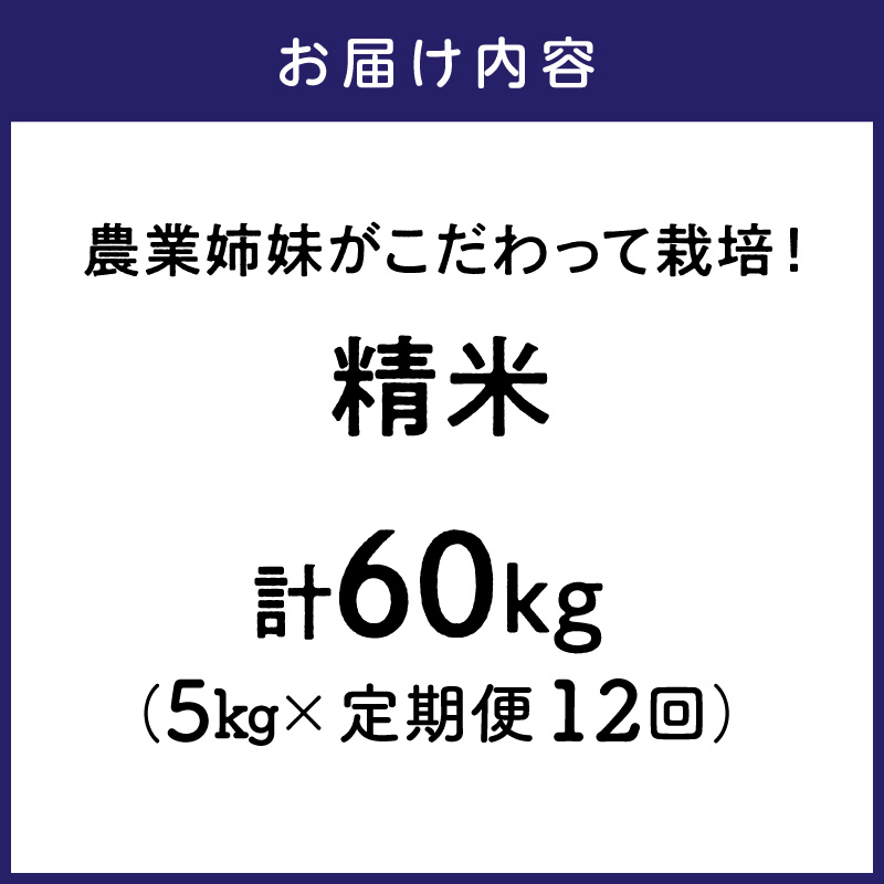 農業姉妹がこだわって栽培！こだわりのお米 白米5kg 1年定期便【024A-012】