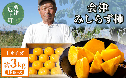 
                  23-E 柿 会津みしらず柿 Lサイズ 18個入り 約3kg | フルーツ くだもの 果物 柿 かき カキ 産地直送 先行受付 福島県 会津坂下町 ※2026年11月～発送
                