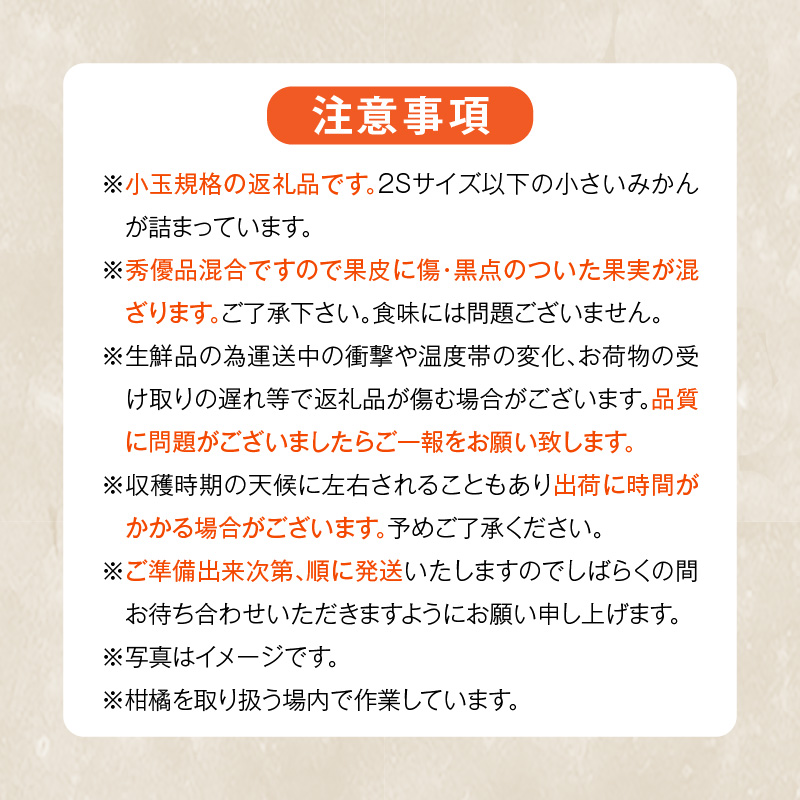 MK1041_【2025年先行予約】みかん とにかく 小玉 箱込 10kg ( 内容量 9.2kg ) 2Sサイズ以下 秀品 優品 混合 有田みかん 和歌山県産 産地直送 【みかんの会】