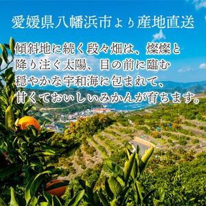 【2025年2月以降発送】とろける濃厚果肉 せとか2kg 愛媛県八幡浜産【C25-37】【1044414】