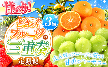 【 定期便 3回  】 甘盛り！ ときめくフルーツの三重奏 | 定期便 フルーツ 果物 くだもの 熊本県 玉名市