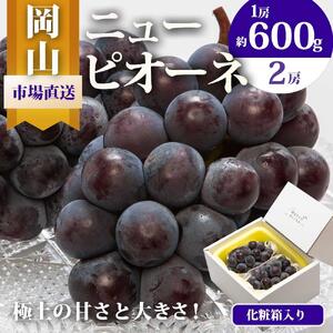 ニュー ピオーネ 2房（1房600g以上）化粧箱入り ｜ ピオーネ