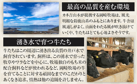 【カネ吉山本】近江牛　A4等級以上　すき焼き用　[リブロース]　（500ｇ）