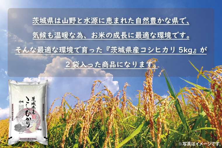 令和6年産茨城コシヒカリ5㎏×2【お米 こめ 米 こしひかり 茨城県 茨城県産 20000円以下 2万円以下】（LL-1）