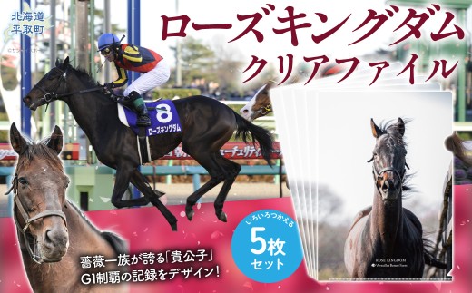 【ローズキングダム】クリアファイル 写真5枚入り 【ふるさと納税 人気 おすすめ ランキング 馬 競馬 競走馬 引退馬 ローズキングダム クリアファイル ファイル 事務用品 文房具 日高 北海道 平取町 びらとり 送料無料】 BRTV255