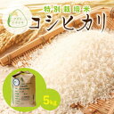 【ふるさと納税】令和6年産　特別栽培米コシヒカリ　5kg【配送不可地域：離島・沖縄県】【1545995】