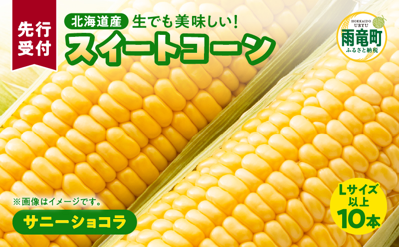 【令和8年産先行受付】生でも美味しい！ とうもろこし 「 サニーショコラ 」 10本（Lサイズ）【配送不可地域：沖縄・離島】