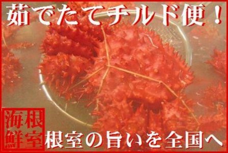 【北海道根室産】花咲ガニ2尾(チルド便) A-57025