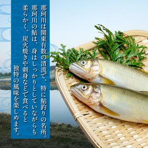 【4月～5月旬の鮎】 早月あゆ（塩焼き）成魚になる前のやわらかい鮎 | 早月 あゆ 塩焼き旬 やわらかい 早月あゆの塩焼き 成魚前 早月あゆ 4月 早月鮎 お取り寄せ 旬の鮎 塩焼 新鮮 ギフト ふる