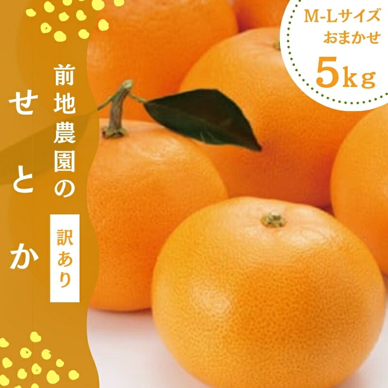 【ふるさと納税】 せとか 前地農園の せとか M-2L サイズおまかせ ご家庭用 5kg【2026年3月初旬から3月中旬までに順次発送】 みかん ミカン 蜜柑 柑橘 果物 くだもの フルーツ サイズ 不揃い 家庭用 ご家庭用 産地直送 予約 人気 ジューシー 甘い 送料無料