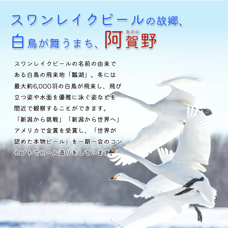 ビ−ル スワンレイクビール ホワイト寿 世界一金賞受賞入り 紅白ラベルビール2本セット 阿賀野市 新潟県 阿賀野 クラフト 飲み比べ クラフトビール お酒 1S44007