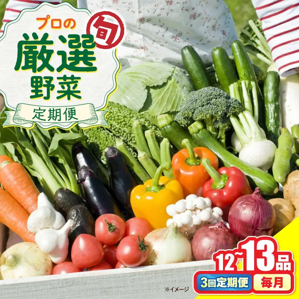 【3回定期便】野菜のプロが選ぶ 旬の野菜セット 12-13品目 野菜定期便 / 野菜 やさい セット 新鮮 / 南島原市 / 愛2農園[SGG004]