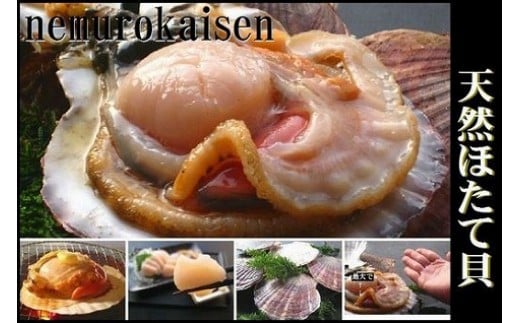 A-57030 ＼漁業者応援品／ 【北海道根室産】活ホタテ貝 2kg 詰合せ