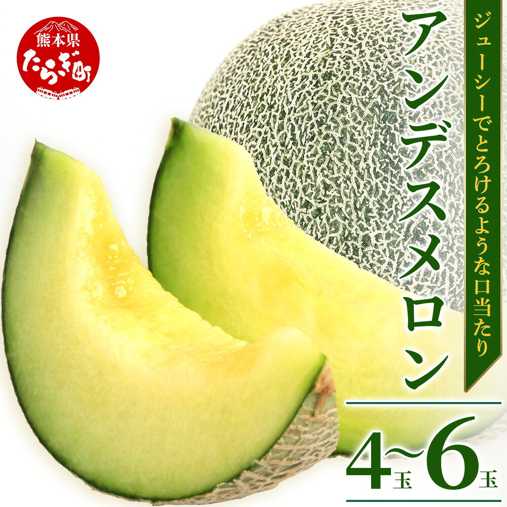 【ふるさと納税】＼2027年発送分 先行予約／ 熊本県産 アンデスメロン 合計約4~6玉 約5kg ※令和9年5月上旬～発送※ 先行予約 青肉 メロン 詰め合わせ めろん アンデスメロン 糖度 果物 フルーツ 詰め合わせ 甘い 熊本県 多良木町 送料無料