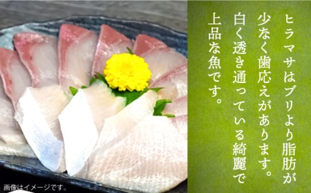 【全6回定期便】壱岐産 ヒラマサフィレ 約1から1.5kg（半身）[JDT040]