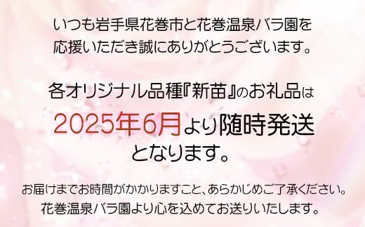 花巻温泉バラ園 オリジナル品種「花巻おとめ80」　新苗　<2025年6月より随時発送> 【2000】