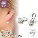 【ふるさと納税】 ピアス ジュエリー レディース アクセサリー ダイヤモンド 0.08ct 天然 アコヤ真珠 K18 ホワイトゴールド 揺れる フォーマル ギフト プレゼント 贈り物 ジュエリーケース付 鑑別書付 保証書付 k216-108