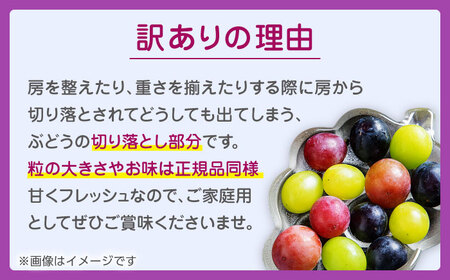 【先行予約】 訳あり ぶどう3種 食べ比べ 切り落とし 計約700g  【合同会社 社方園】[ZBZ040]