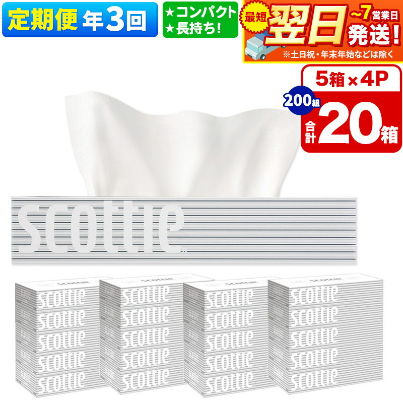 【ふるさと納税】《4ヶ月ごとに3回お届け》定期便 ティッシュペーパー スコッティ 200組 20箱(5箱×4パック) ティッシュ 秋田市オリジナル