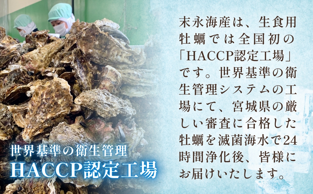 宮城県産 生食用牡蠣 一年子生カキ むき身 1kg かき カキ 剥