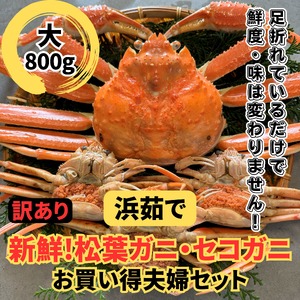 【22019】鳥取網代港【訳あり】浜茹で！松葉ガニ・セコガニセット（大）【さかなや新鮮組】