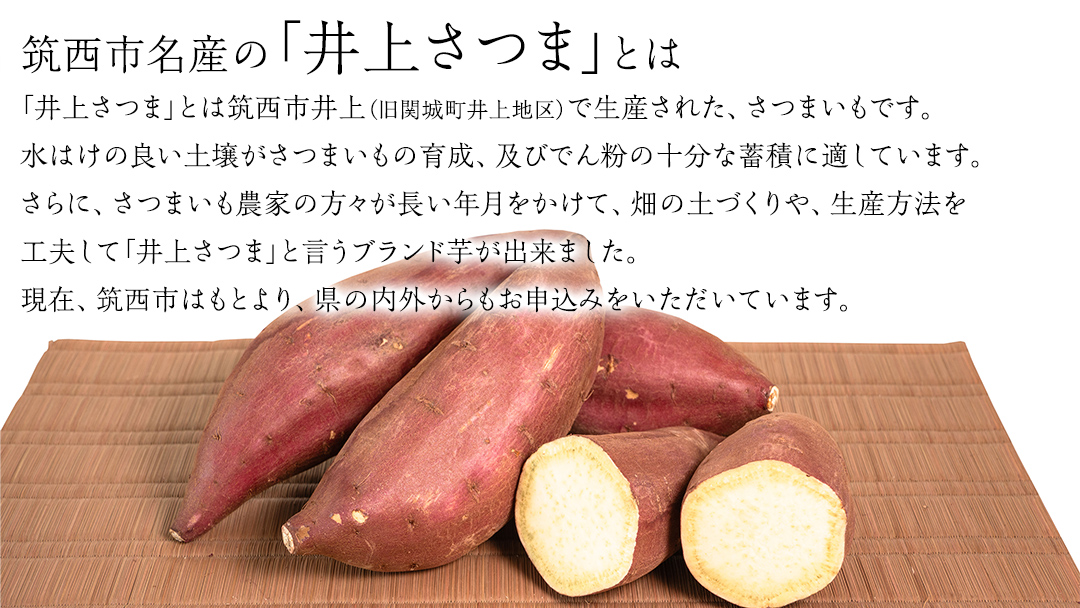 【 塚田商店 】 井上さつま 「 紅はるか 」 5kg ( Sサイズ ) 新物 ブランド芋 茨城県産 筑西市産 さつまいも サツマイモ いも 芋 イモ [BD035ci]