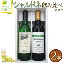 【ふるさと納税】 シャルドネ 飲み比べ セット白 ワイン 720ml 2本 天童ワイン お取り寄せ のし 贈答 ギフト プレゼント 送料無料 【 山形県 天童市 】