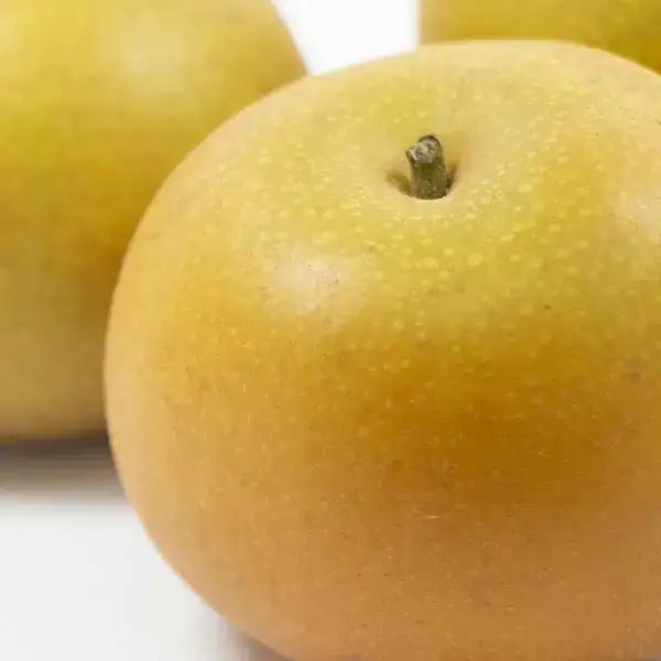 先行予約 幸水 約5kg 和梨 新潟県 三条市 想樹