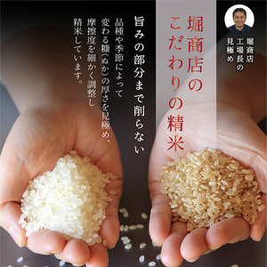 【令和7年新米予約】新潟産コシヒカリ 10kg 米 精米 白米 こめ コメ お米 おこめ コシヒカリ こしひかり 新潟 新潟県 米どころ