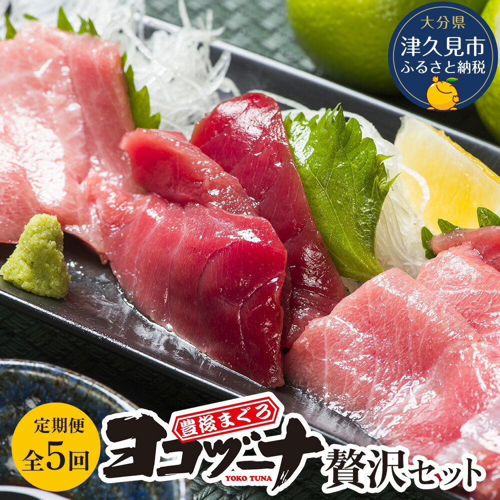【ふるさと納税】【定期便 5回】豊後まぐろヨコヅーナ 赤身250g 中トロ500g 大トロ250g 大分県津久見市産 本マグロ 本まぐろ 本鮪 丸ごと 赤身 大トロ 中トロ トロ 刺身 大分県産 九州産 津久見市 国産 送料無料