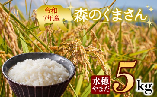 【令和7年産】森のくまさん 5㎏ 5キロ もりのくまさん 米 こめ コメ お米 おこめ 白米 ブランド米 銘柄米 熊本県産 熊本産 熊本県 阿蘇市 水穂やまだ